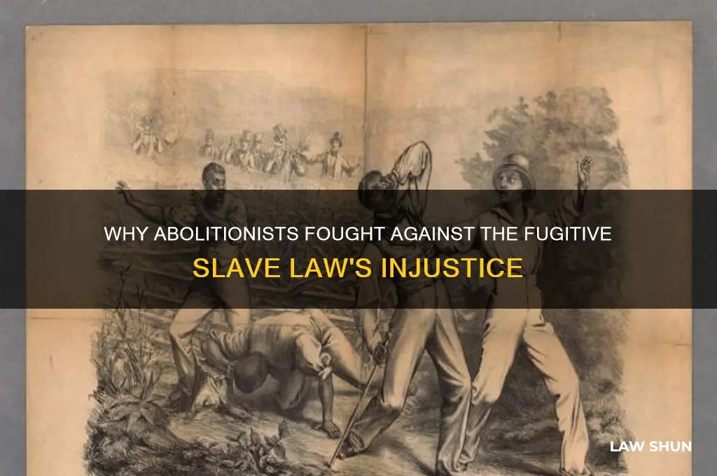 what is one reason abolitionists opposed the fugitive slave law