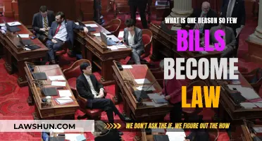 Why So Few Bills Become Law