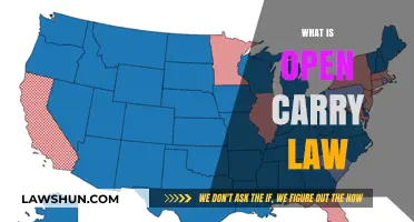 Understanding Open Carry Laws: Rights, Regulations, and Responsibilities Explained
