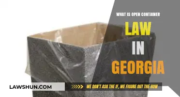 Understanding Georgia's Open Container Law: Rules and Penalties Explained