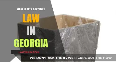 Understanding Georgia's Open Container Law: Rules and Penalties Explained