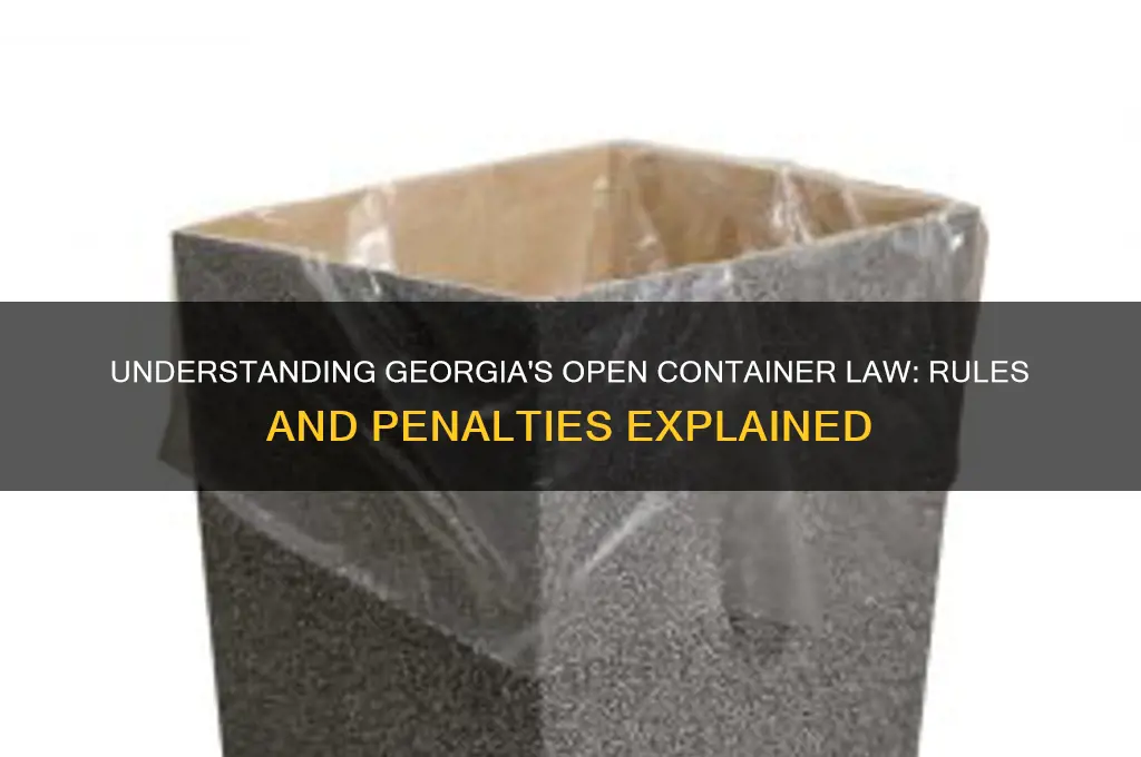 what is open conyainer law in georgia