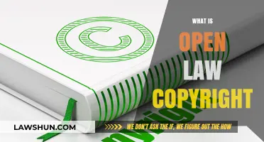 Understanding Open Law Copyright: Legal Frameworks and Creative Freedoms Explained