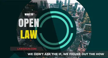 Understanding Open Law: Transparency, Accessibility, and Legal Innovation Explained