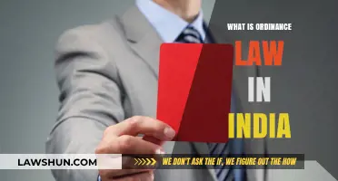 Understanding India's Ordinance Law Making