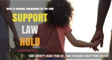 Understanding the Original Amendment's Impact on Child Support Law