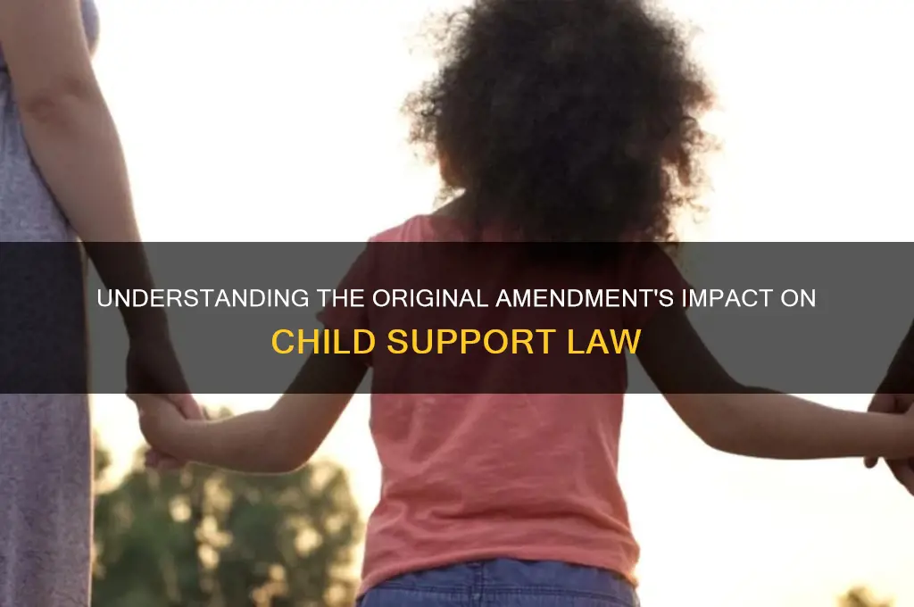 what is original amendment do the chid support law hold