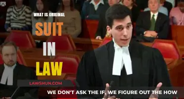 Understanding Original Suit in Law: Definition, Purpose, and Legal Significance