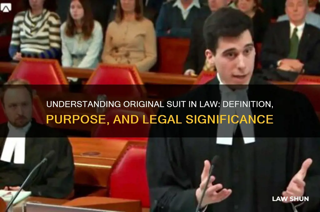 what is original suit in law