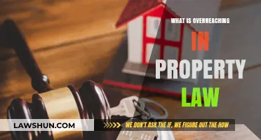 Understanding Overreaching in Property Law: Key Concepts and Implications
