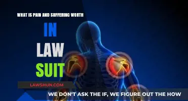 Understanding Pain and Suffering Damages in Personal Injury Lawsuits