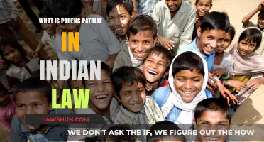 Parens Patriae: India's Child Protection Law