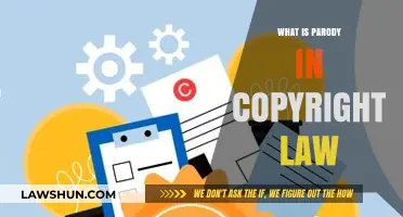 Understanding Parody in Copyright Law: Fair Use and Creative Expression