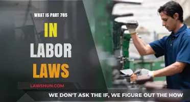 Understanding Part 785: Key Labor Law Insights for Employers
