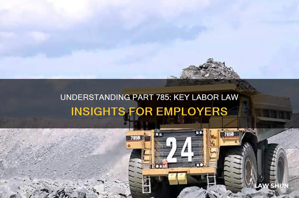 what is part 785 in labor laws