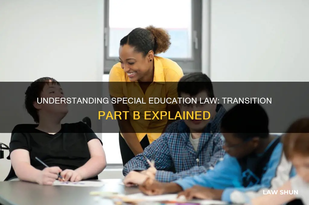 what is part b of the special education law transition
