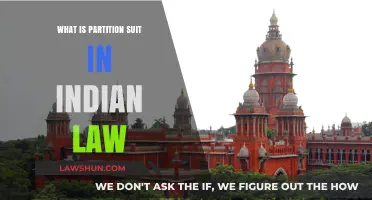Understanding Partition Suits in Indian Law: Rights, Process, and Implications