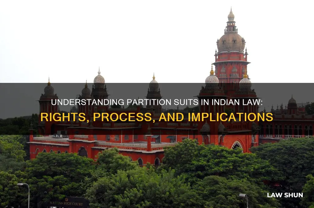 what is partition suit in indian law