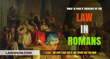 Paul's Theology of the Law in Romans: Grace, Judgment, and Freedom
