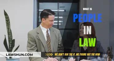 Understanding the Role of People in Law: Key Players and Responsibilities