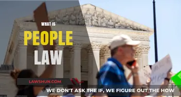 Understanding People Law: Rights, Responsibilities, and Real-World Applications