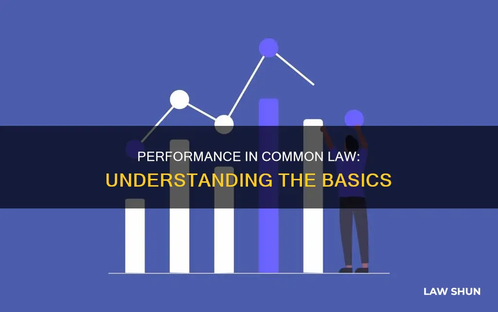 what is performance in common law