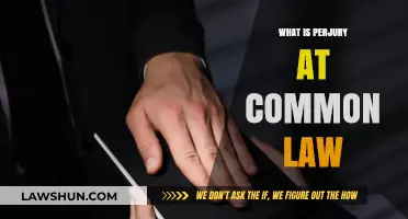 Perjury at Common Law: Understanding the Basics