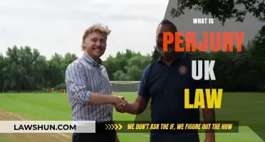 Perjury: UK Law and Punishments