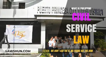 Understanding Philippine Civil Service Law: Key Principles and Applications