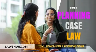 Planning Case Law: Understanding the Legal System