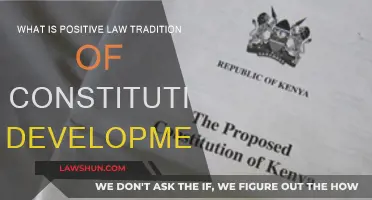 The Positive Law Tradition: Constitutional Development Explained
