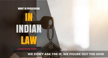 Possession in Indian Law: Understanding the Basics