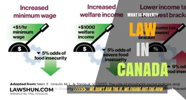 Poverty Law in Canada: Understanding Legal Aid