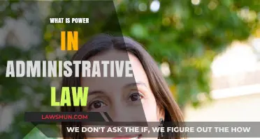 Understanding Power Dynamics in Administrative Law: Key Principles Explained