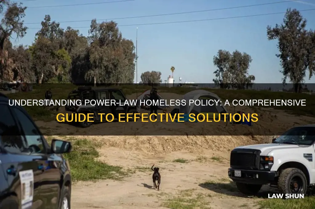 what is power-law homeless policy