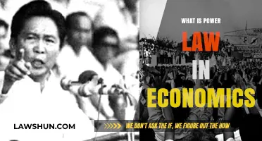 Understanding Power Law: Key Economic Principles and Real-World Applications