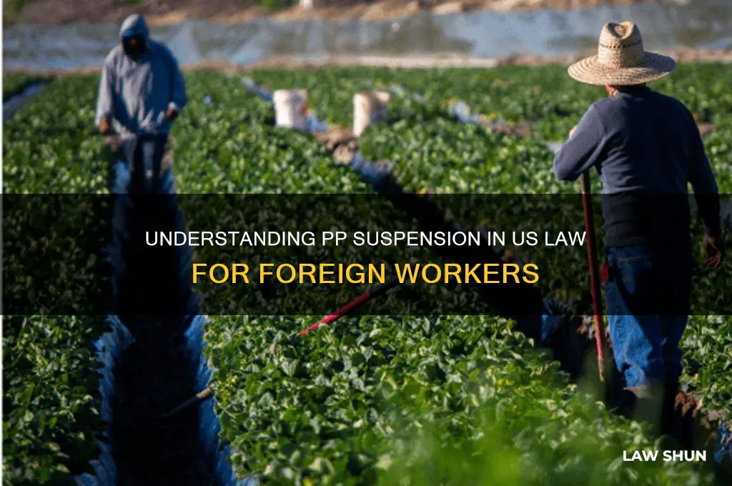 what is pp suspension in us law for foreign workers