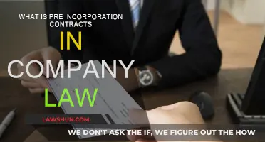 Understanding Pre-Incorporation Contracts in Company Law