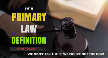 Understanding Primary Law: Definition, Sources, and Legal Significance Explained