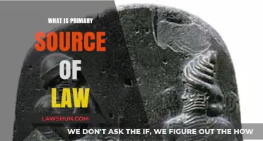 Exploring the Foundation: What Constitutes the Primary Source of Law?