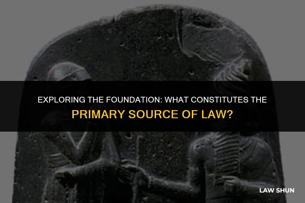 what is primary source of law
