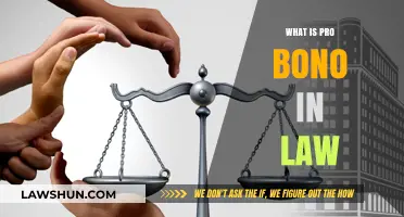 Understanding Pro Bono Legal Services: A Guide for Those in Need