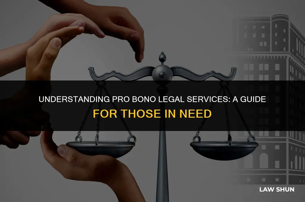 what is pro bono in law