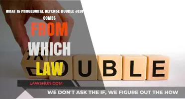 Understanding Procedural Defense: Double Jeopardy Origins and Legal Framework
