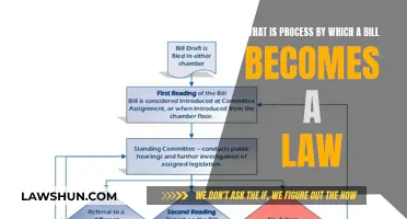 How Laws Are Made: Bill to Act