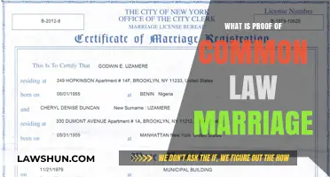 Understanding Common-Law Marriage: Proof and Requirements