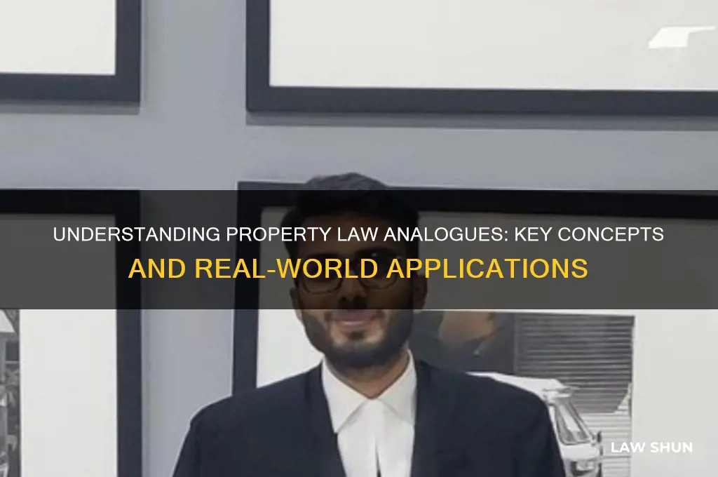 what is property law analogues