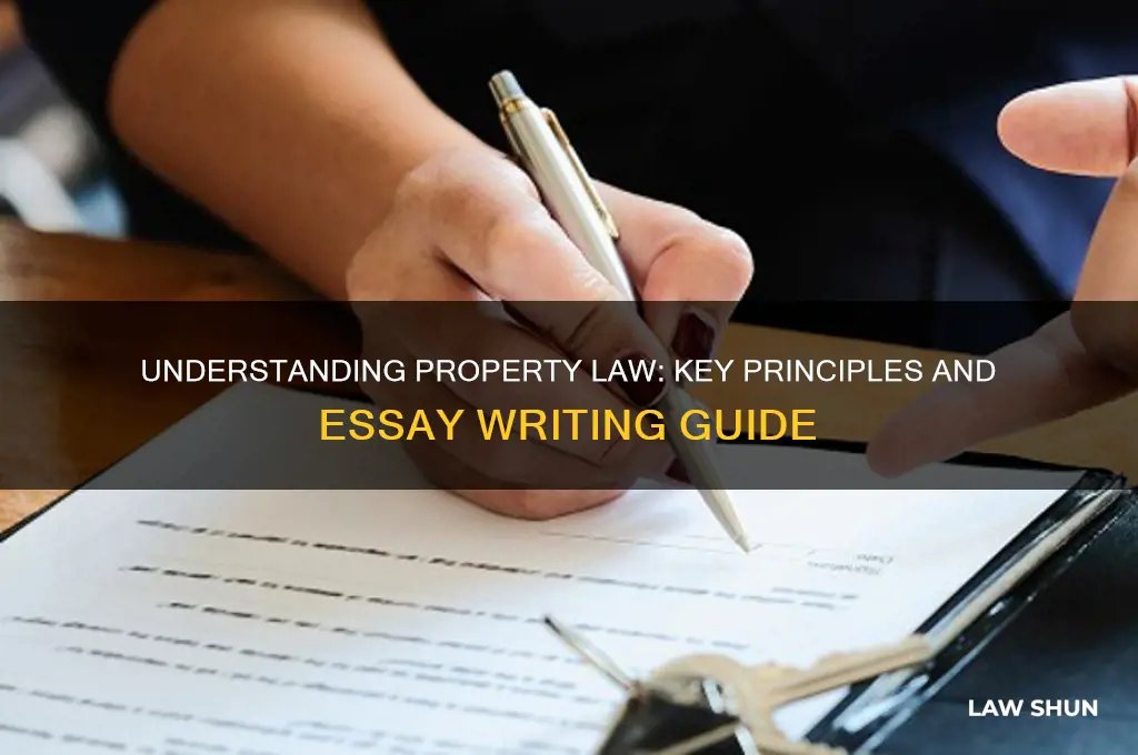 what is property law essay