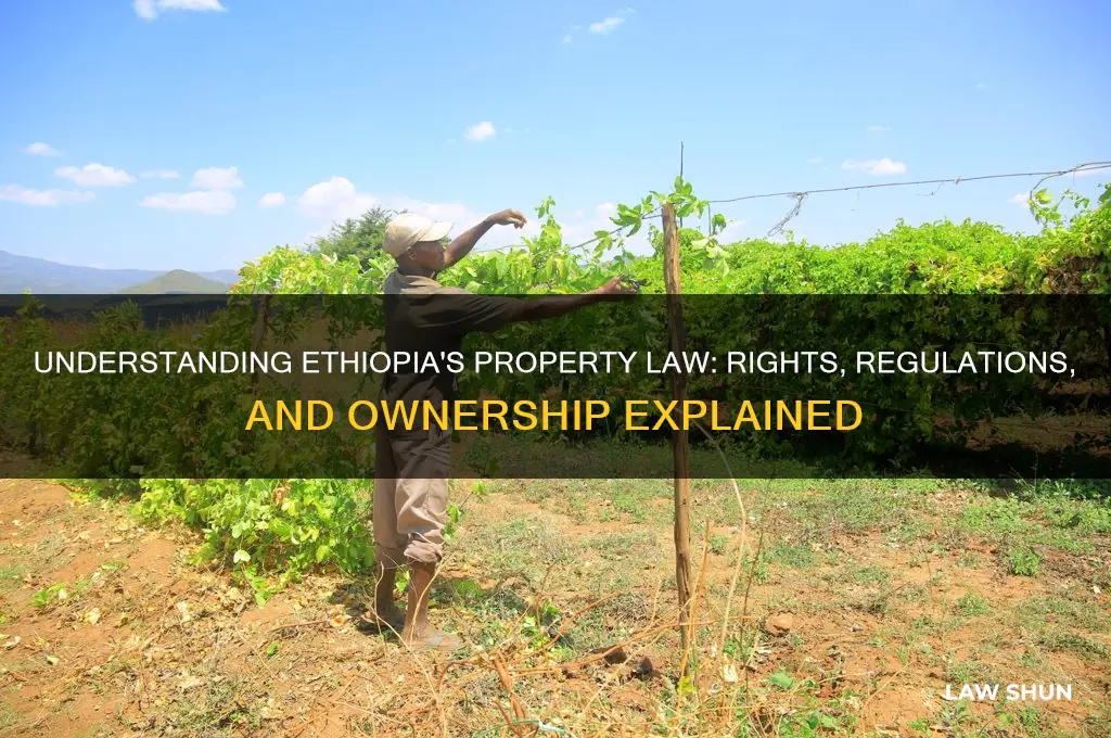 what is property law in ethiopia