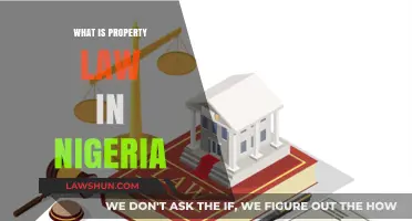Understanding Property Law in Nigeria: Rights, Ownership, and Legal Framework